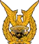 TNI AU